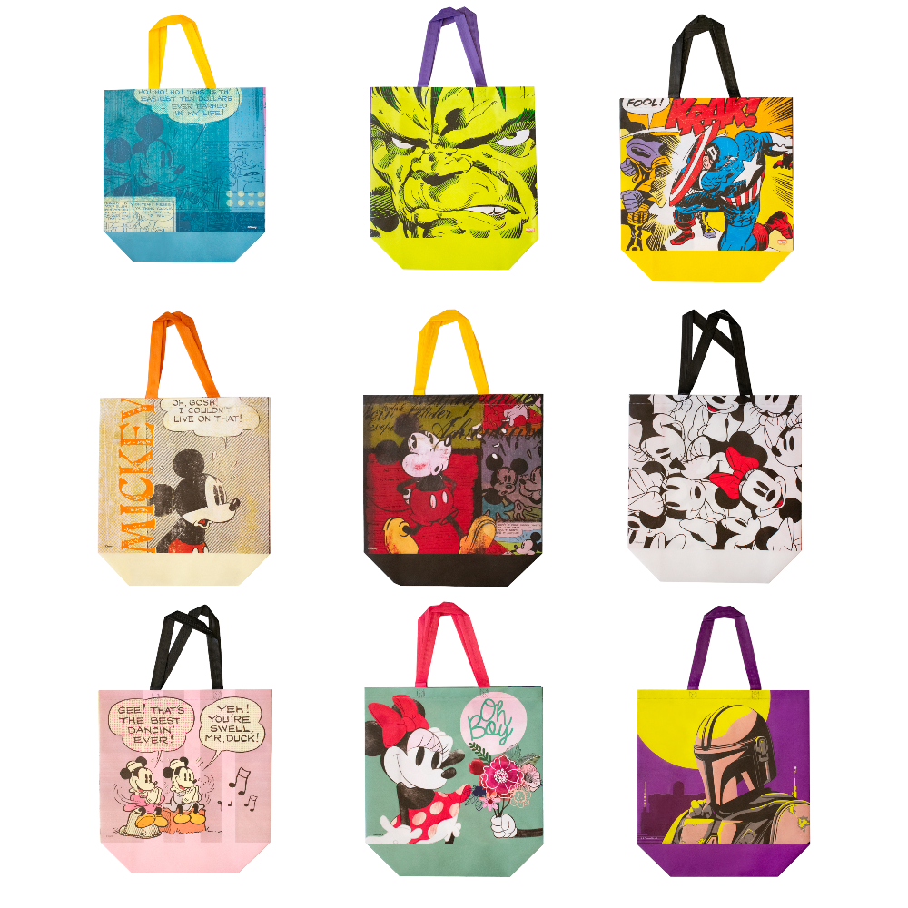 CARTERA INFANTIL GRANDE DISNEY